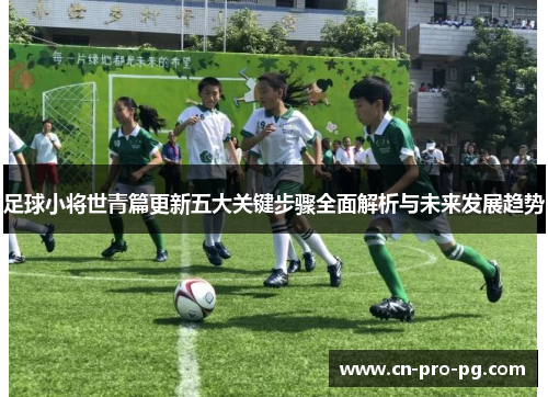足球小将世青篇更新五大关键步骤全面解析与未来发展趋势