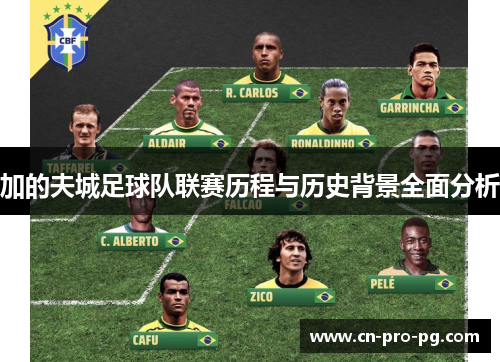 加的夫城足球队联赛历程与历史背景全面分析 加的夫城足球队联赛历程与历史背景全面分析