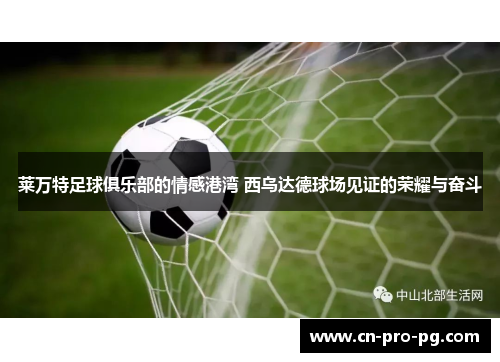 莱万特足球俱乐部的情感港湾 西乌达德球场见证的荣耀与奋斗