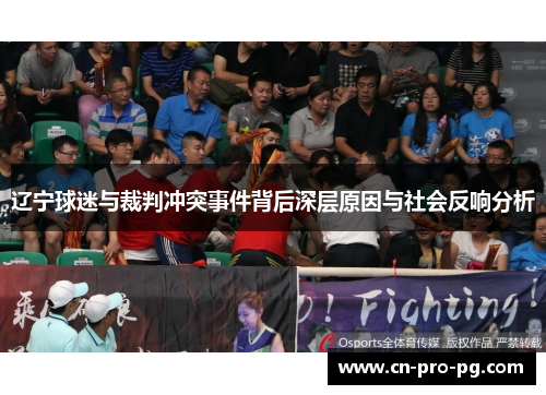 辽宁球迷与裁判冲突事件背后深层原因与社会反响分析