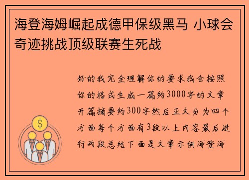 海登海姆崛起成德甲保级黑马 小球会奇迹挑战顶级联赛生死战
